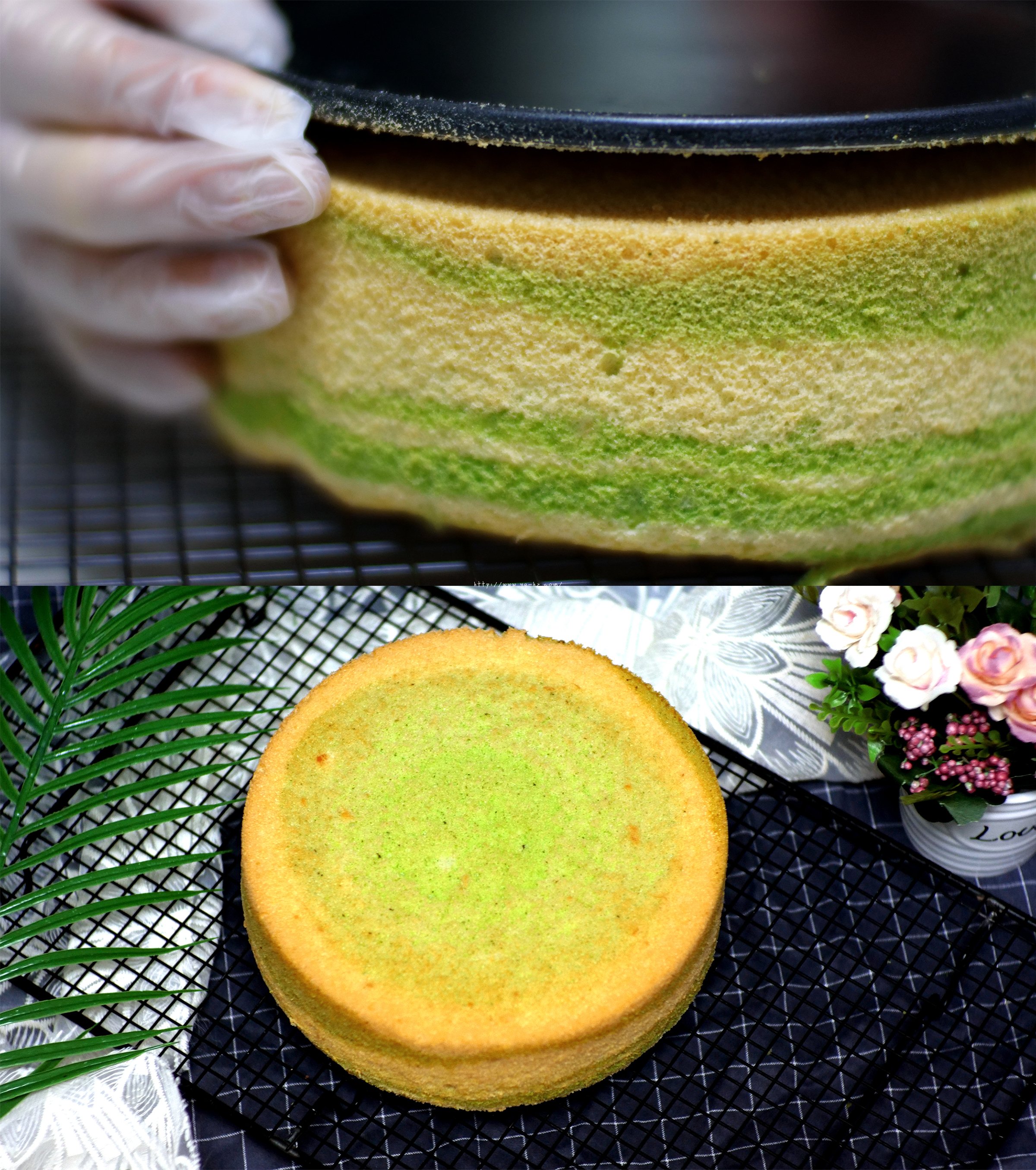 菠菜戚风蛋糕——天然的绿，不塌陷不回缩的做法 步骤11